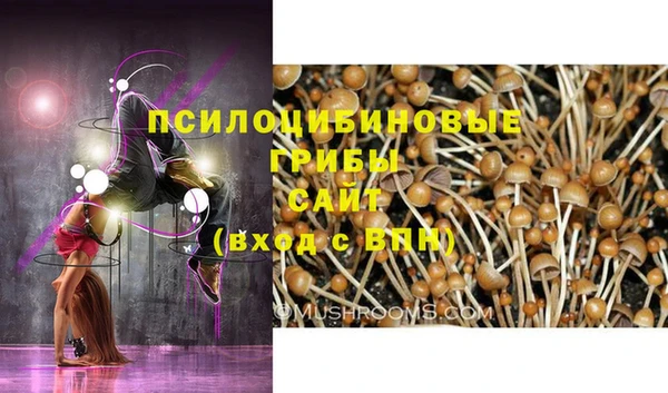 молекула духа Покровск