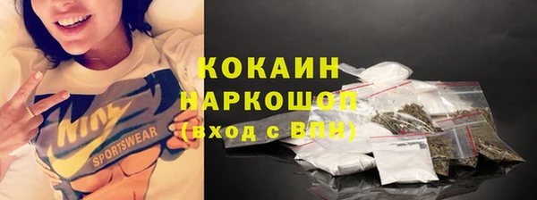 молекула духа Покровск