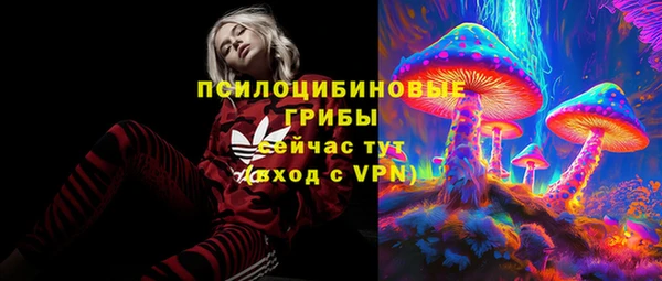 молекула духа Покровск