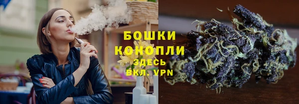молекула духа Покровск