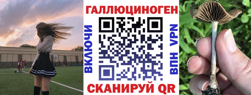 что такое наркотик  Калининец  Псилоцибиновые грибы Psilocybe 